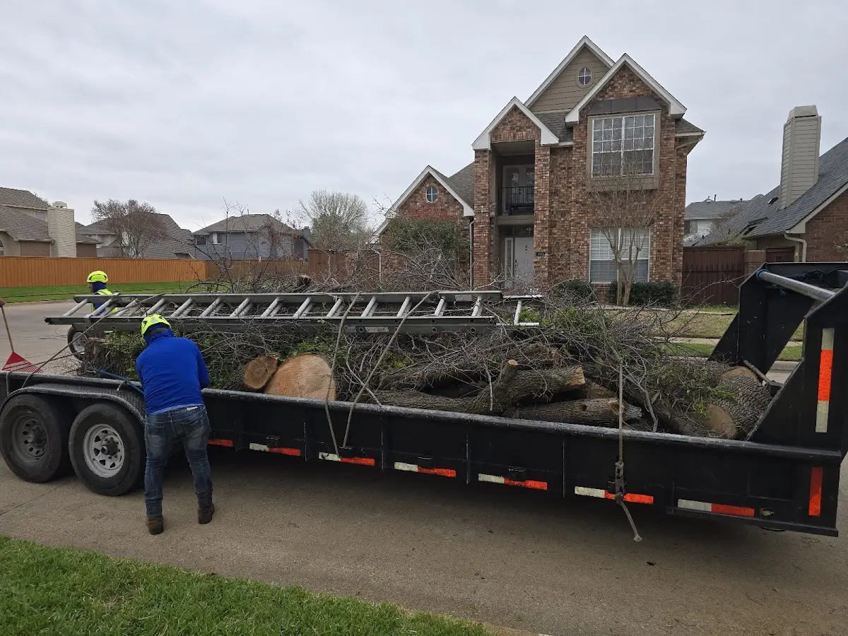 Expert Tree Removal with proper safety equipment in Cresbard